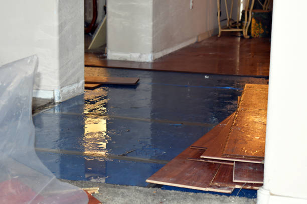 Professional Flood Cleanup technician working in Larkspur, CA